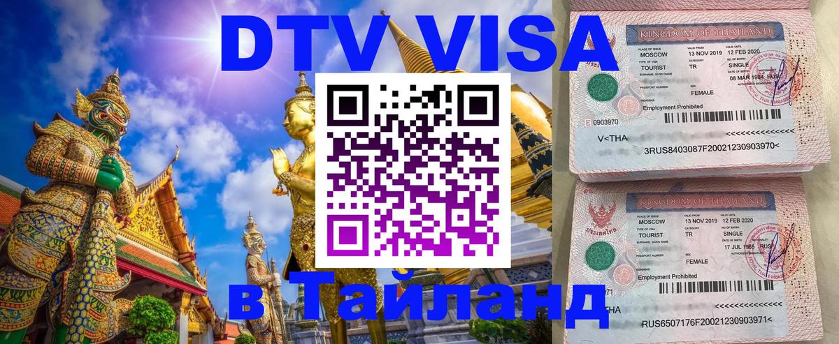 Сколько стоит DTV виза — актуальные цены, оформление даже без документов - Киров 